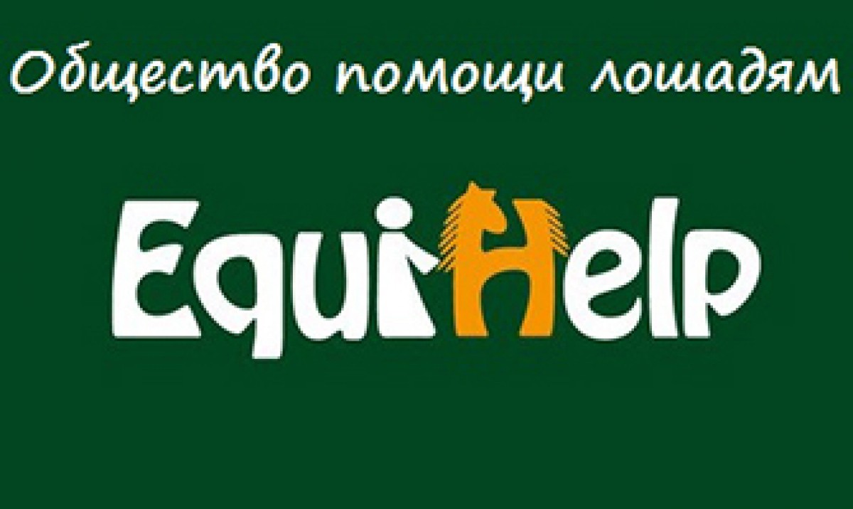 ЭквиХелп - общество помощи лошадям